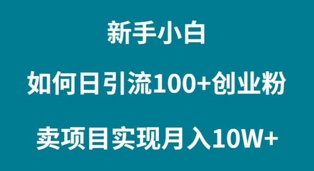 (9556期)新手小白如何通过卖项目实现月入10W+-E网资源