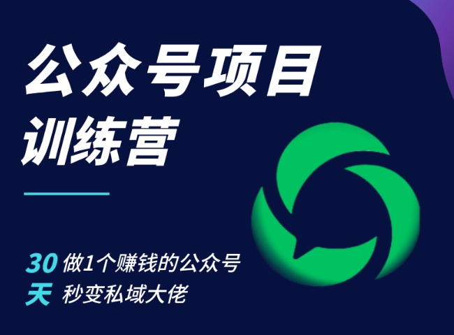 公众号项目训练营，30天做1个赚钱的公众号，秒变私域大佬-E网资源