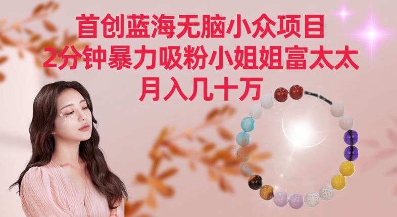 首创蓝海无脑小众项目，2分钟暴力吸粉小姐姐富太太，月入几十万【揭秘】-E网资源