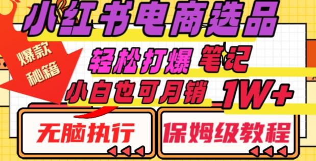 小红书电商爆款选品秘籍，帮你轻松打爆笔记，小白也可轻松月销10000+-E网资源