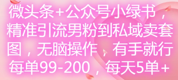 微头条+公众号小绿书，精准引流男粉到私域卖套图，无脑操作，有手就行，每单99-200，每天5单-E网资源