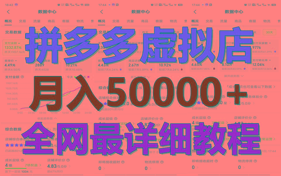 拼多多虚拟电商训练营月入50000+你也行，暴利稳定长久，副业首选-E网资源