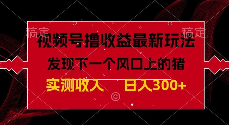 视频号分成计划最新玩法，单条作品几分钟制作完成,日入300+，过年前最后的冲刺-E网资源