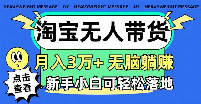 淘宝无人带货3.0高收益玩法，月入3万+，无脑躺赚，新手小白可落地实操-E网资源
