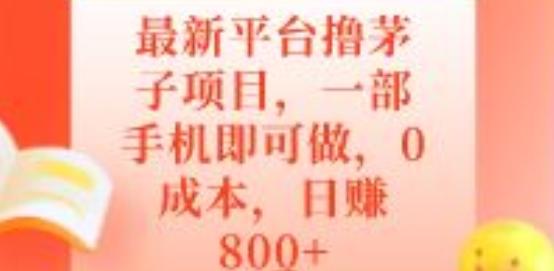 最新平台撸茅子项目，一部手机即可做，0成本，日赚800+-E网资源
