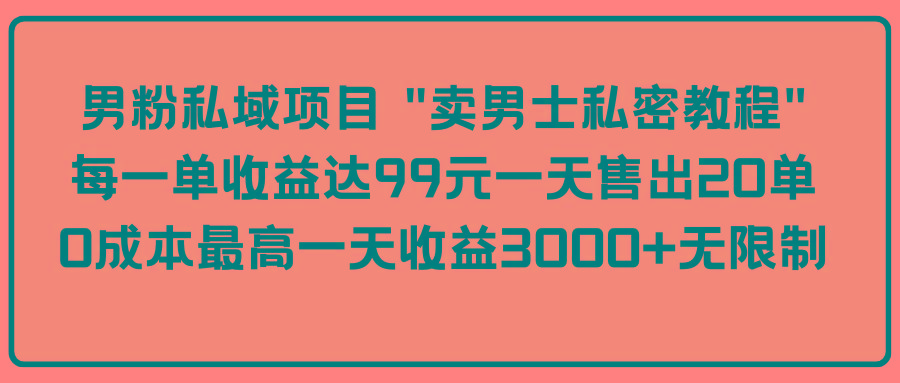 (9730期)男粉私域项目 “卖男士私密教程” 每一单收益达99元一天售出20单-E网资源