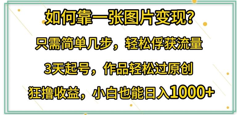 如何靠一张图片变现?只需简单几步，轻松俘获流量，3天起号，作品轻松过原创【揭秘】-E网资源