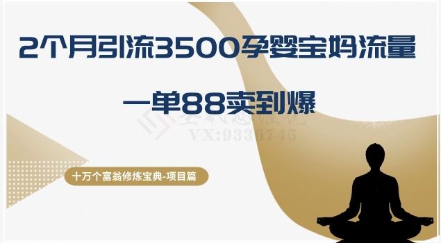 十万个富翁修炼宝典之13.2个月引流3500孕婴宝妈流量，一单88卖到爆-E网资源