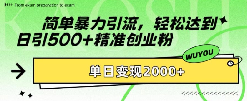 简单暴力引流，轻松达到日引500+精准创业粉，单日变现2k【揭秘】-E网资源