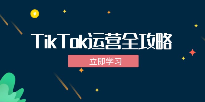 TikTok实战运营全攻略：从下载软件到变现，抖音海外版实操教程-E网资源