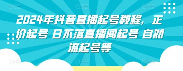 2024年抖音直播起号教程，正价起号 日不落直播间起号 自然流起号等-E网资源