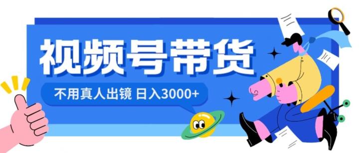 视频号带货，日入3000+，不用真人出镜-E网资源
