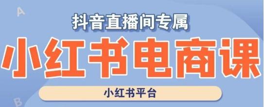 小红书电商高级运营课程，实操教学+案例分析-E网资源