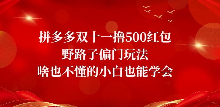 拼多多双十一撸500红包野路子偏门玩法，啥也不懂的小白也能学会【揭秘】-E网资源