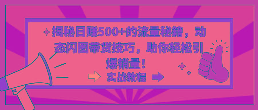 揭秘日赚500+的流量秘籍，动态闪图带货技巧，助你轻松引爆销量！-E网资源