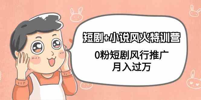 小说+短剧风火特训营，0粉短剧小说风行推广，实现月入过万-E网资源