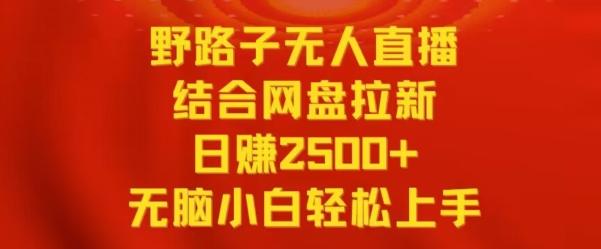 野路子无人直播结合网盘拉新，日赚2500+，小白无脑轻松上手【揭秘】-E网资源